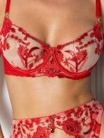 Rouge Allure Set - Image 4