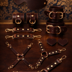 Brown leather BDSM set