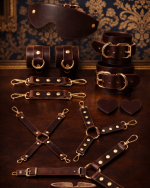 Brown leather BDSM set